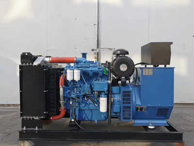 Εγχώρια εφεδρική γεννήτρια 300 KW diesel συνόλων γεννητριών με το βαθύβιο ελεγκτή