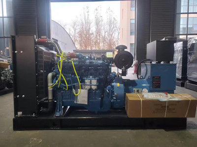 400 εφεδρική γεννήτρια diesel εναλλακτών εναλλασσόμενου ρεύματος γεννητριών diesel KW 500kva